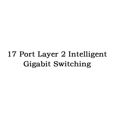 17 Port Layer 2 Switching Gigabit intelligente